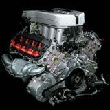 Olg'a o'zbekistonliklar