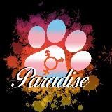 🏳️‍⚧️🌈 Andromorph Haven 🌈🏳️‍⚧️ (FTM and more)