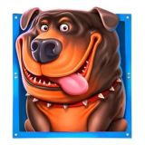 БОНУСНАЯ КУХНЯ | 1win 🎁