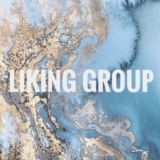 ✖️ Liking Group ✨