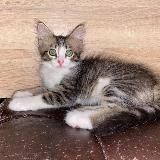 #Помогите_найти_инди