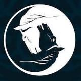 Дневник шамана