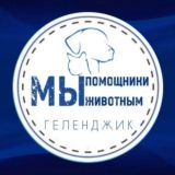 🩵 МЫ ПОМОЩНИКИ ЖИВОТНЫМ 🐾 ВОЛОНТЕРСКИЙ ЧАТ ГОРОДА • Геленджик