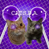 Собачка джейсси🫀❤️‍🩹