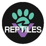 Furry Valley Reptiles