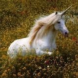 🍾Mental Detox🥂