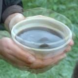 Резервные Руки Брессона