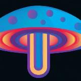 Электрогриб/Ost Anders Community NBG