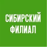 Сибирский филиал Пушкинского музея