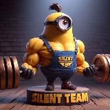 Silent Team Mods