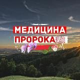 Медицина ⲡⲣоⲣоⲕⲁ ﷺ