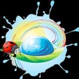 Детский сад «Росинка» с.Сокол