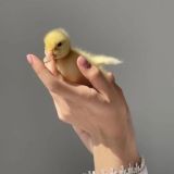 Для твоих 𝒮𝓉💙𝓇𝒾𝑒𝓈