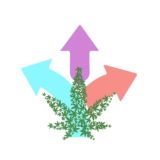 קהילת 👩🏻‍🌾מגדלים👨🏻‍🌾