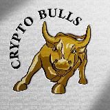 ZOOM Команды CRYPTO BULLS