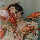 Франтова / дизайн интерьера / кретивные концепции / визуал / фотография