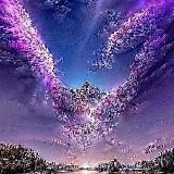 ТРАНСФОРМАЦИЯ🧬