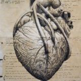 MedAcademy | медицина