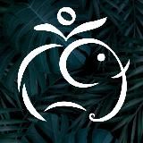 🇮🇳 Хинди - легко! Индия 🪔