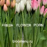 BLOOMENU