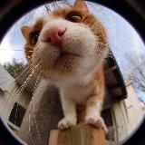 𝑫𝒐𝒛𝒉𝒅𝒍𝒊𝒗𝒊𝒊 𝒅𝒆𝒏'