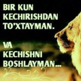 🌸ᏰᏋᎷᏋᏂᎥᏒᎶᎥᏁᏗᎷ🌸