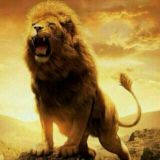 ꧁ঔৣ💖☜☞❤MEGA TANISHUVLAR☛🤟😎🤟