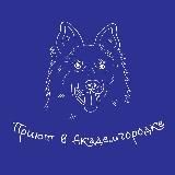 Приют Академгородка