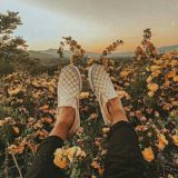 Dream aesthetic🧚🏻‍♀🦋