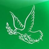 Комитет солдатских матерей свободной России