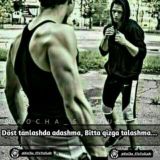 ࿇༲࿆Kσ'ɕɦɑ_ɦɑყσŧ࿇༲࿆