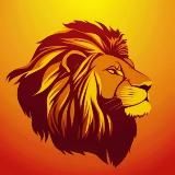 Hidden Facts🦁🔎