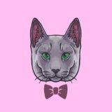 Русские голубые кошки Ruzara