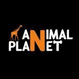 Animal Planet