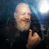 Julian Assange Not