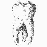 ЗУБНЫЕ ТЕХНИКИ 🦷