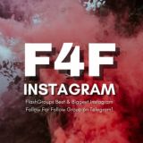 Instagram Real Female Followers Only