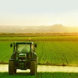 O'ZBEKISTON AGRO SANOATI