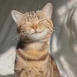 ×bicer_and_ctrei_kidss×💋🫂