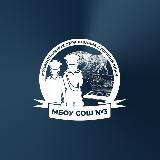 МАОУ СОШ №3 им. Дамаскина И. Ф."