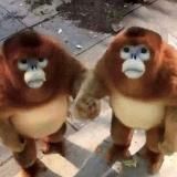 соня (нн пиздит тут всякую хуйню)