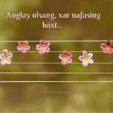 ҨαᎠᎡᎥ ᏴαᏞαηፗ QαᎠιᏒᎠᎾ𝙽ᏞαᏒιᎷ