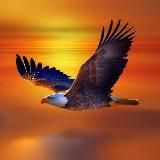 Красота Кавказа VIP