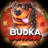 BudkaBonus 🐾