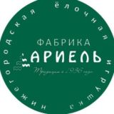 Чат покупателей и коллекционеров игрушек фабрики "Ариель"