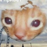 Kleinanzeigen 🇩🇪