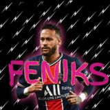 Fen1ks