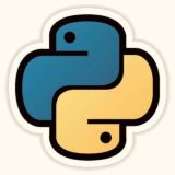 Python TEST