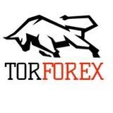 TORFOREX.COM