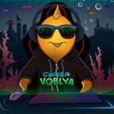 Кибер VOBLA